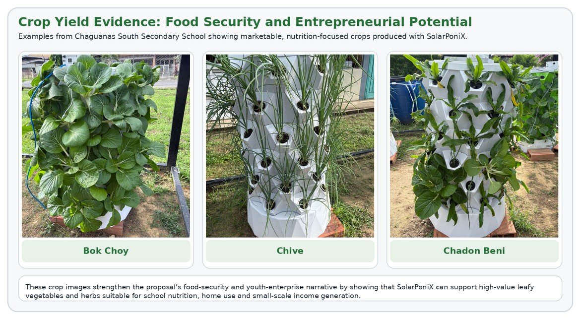 Bok choy, chive and chadon beni grown in SolarPoniX units